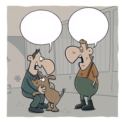 Witz 09