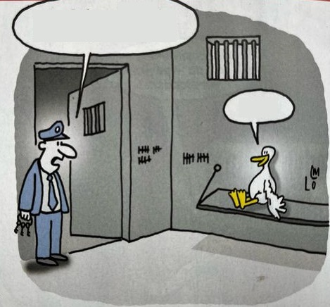 Witz 11